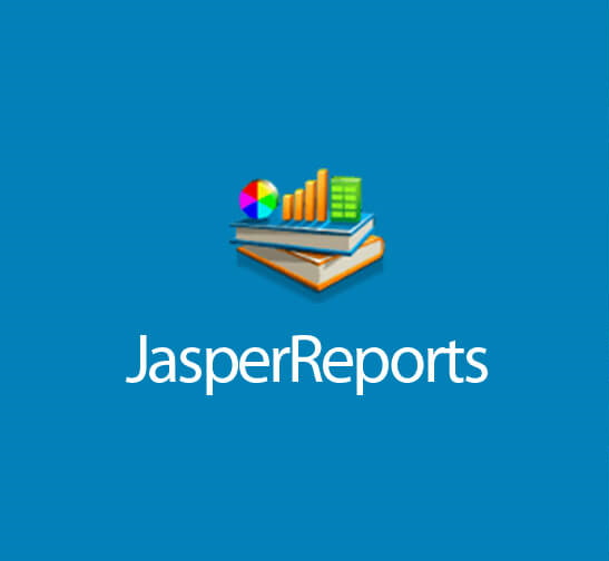 bst_skills_banner_jasper_report